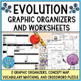 Evolution Graphic Organizer - Evolution Worksheets and Ass