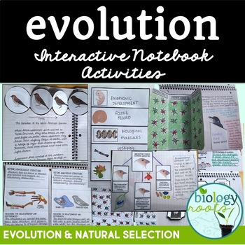 Preview of Evolution Interactive Notebook