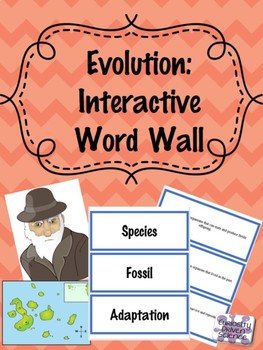 Preview of Evolution: Interactive Word Wall