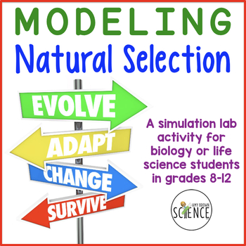 Preview of Evolution Lab Activity Modeling Natural Selection - Mechanisms of Evolution