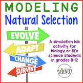 Evolution Lab Activity Modeling Natural Selection - Mechan