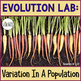 Evolution Lab Activity Variation in a Population