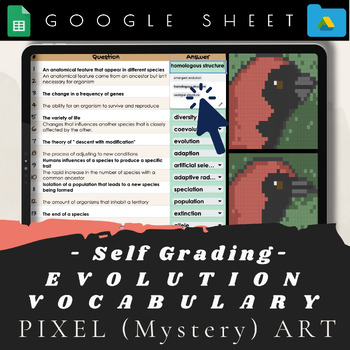 Preview of Evolution Mystery Pixel Art- Common Vocabulary