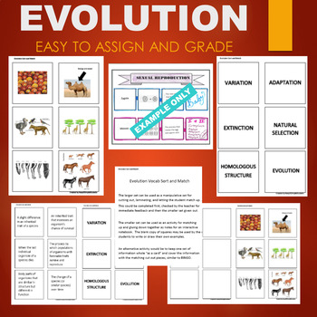 Preview of Evolution (Natural Selection, Adaptation) Sort & Match STATIONS Activity