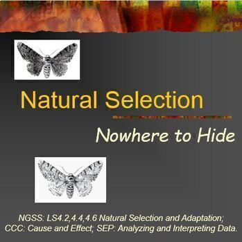 Preview of Evolution Natural Selection Peppered Moths