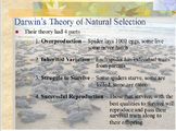Evolution - Natural Selection w/ Worksheet