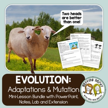 Preview of Adaptations, Mutations and Natural Selection - Evolution PowerPoint and Handouts