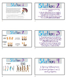 Evolution, Pedigree, Cladogram End of Course Review