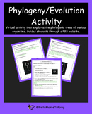 Evolution/Phylogeny Lab Activity w/Key