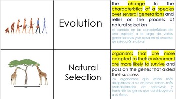 Preview of Evolution Pt. 1 Vocabulary Activity (English/Spanish)