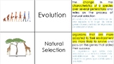 Evolution Pt. 1 Vocabulary Activity (English/Spanish)