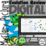 Evolution Review Digital Hidden Mystery Picture | Distance