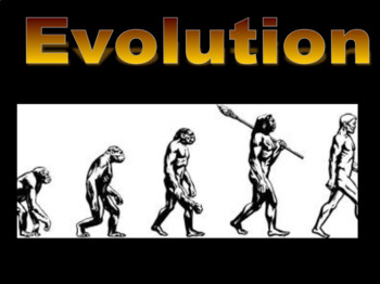 Evolution Slideshow by Masenior Science | TPT