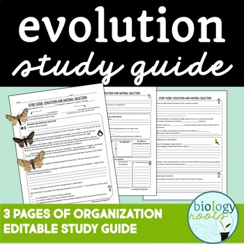 Preview of Evolution Study Guide
