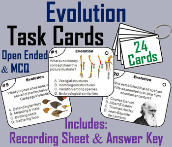 Preview of Evolution Task Cards Activity: Natural Selection, Vestigial Structures, etc.