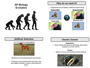 Preview of Evolution Unit - AP Biology or Honors Biology