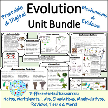 Preview of Evolution Unit Bundle for Biology