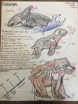 Preview of Evolution Unit Final Project: Adaptations and Cladograms Poster