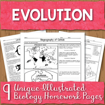 Preview of Evolution Unit Homework Page Bundle