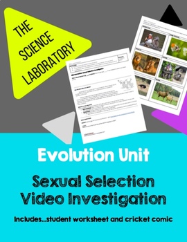 Preview of Evolution Unit: Sexual Selection Video Investigation