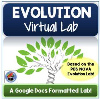 Preview of Evolution Virtual Lab