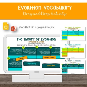 Preview of Evolution Vocabulary Drag and Drop [Google Slides]