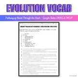 Evolution Vocabulary Matching Review