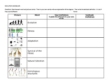 Preview of Evolution Vocabulary worksheet foldable quiz assessment