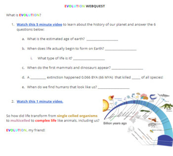 Natural Selection Webquest Worksheets Teachers Pay Teachers