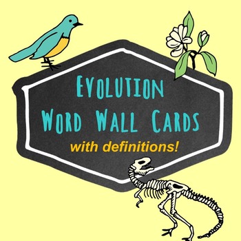 Preview of Evolution Word Wall Cards