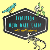 Evolution Word Wall Cards