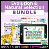 Evolution and Natural Selection Bundle - Google Slides, Doodle Notes and Quiz