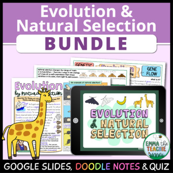 Preview of Evolution by Natural Selection Digital Activities, Quiz, and Doodle Notes Review