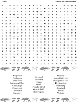 Evolution And Natural Selection Crossword And Word Search Biology Domain