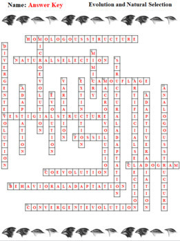 Evolution And Natural Selection Crossword And Word Search Biology Domain