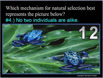 Preview of Evolution and Natural Selection Quiz Game