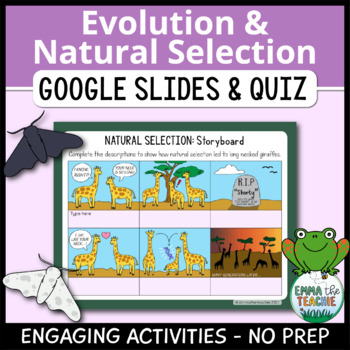 Preview of Natural Selection Activities and Quiz DIGITAL - Darwin's Theory of Evolution