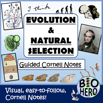 Preview of Evolution and Natural Selection Unit Cornell Notes