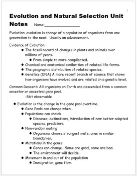 Preview of Evolution and Natural Selection Unit Notes, Standards, and Curriculum