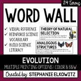 Evolution and Natural Selection Word Wall | Science Vocabulary