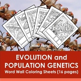 Evolution and Population Genetics Word Wall Color Sheets (