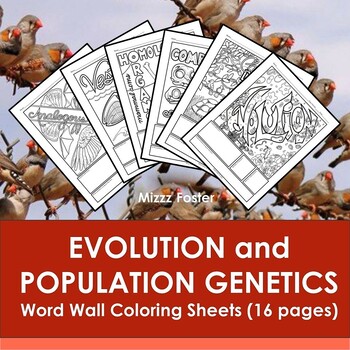 Preview of Evolution and Population Genetics Word Wall Color Sheets (16 pages)