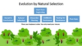 Evolution by Natural Selection Interactive Tutorial