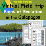 Evolution in the Galapagos Worksheets for Google Webquest 