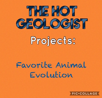 Preview of Evolution of Favorite Animal Project (Rubric)