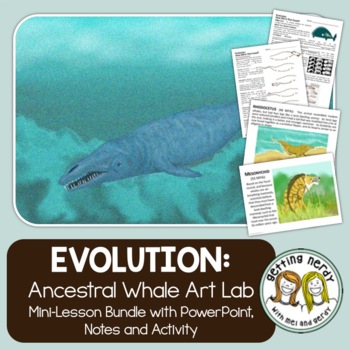 Preview of Evidence of Evolution - PowerPoint and Handouts