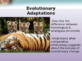Evolutionary Adaptations ppt
