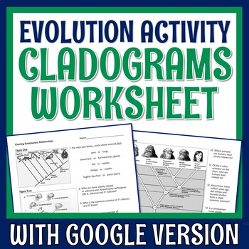 Preview of Evolution Worksheet Cladogram Diagrams PRINT and DIGITAL