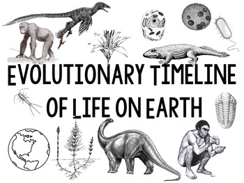 Preview of Evolutionary Timeline of Life on Earth to post on wall