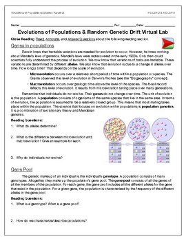 Genetic Drift Worksheets Teaching Resources Teachers Pay Teachers